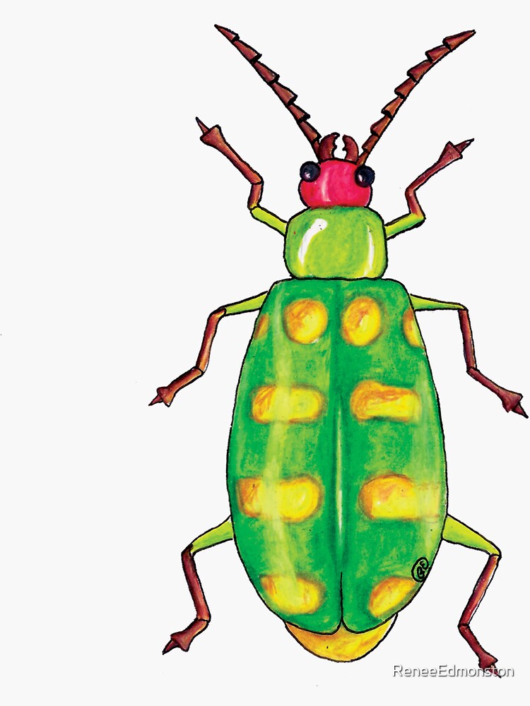 "Cucumber Beetle " Sticker for Sale by ReneeEdmonston Redbubble