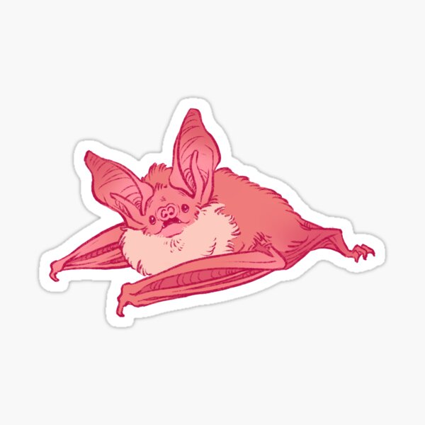 Pallid bat Sticker