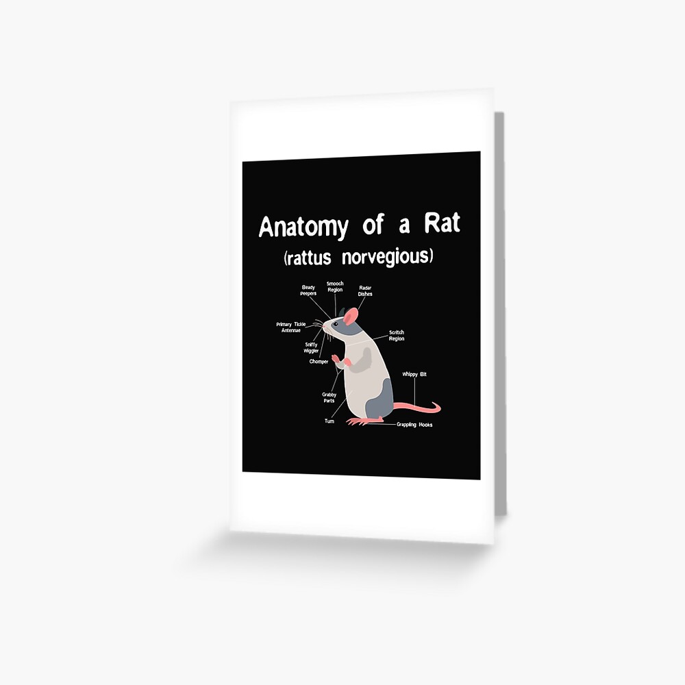 anatomy-of-pet-rat-print-funny-rat-rodent-pet-product-greeting-card-for-sale-by-maninpos23