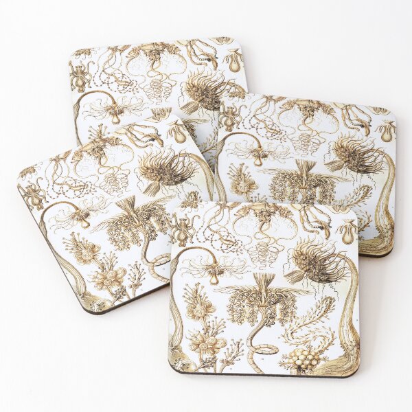 Item preview, Haeckel Tubulariae designed and sold by CCdesigners.