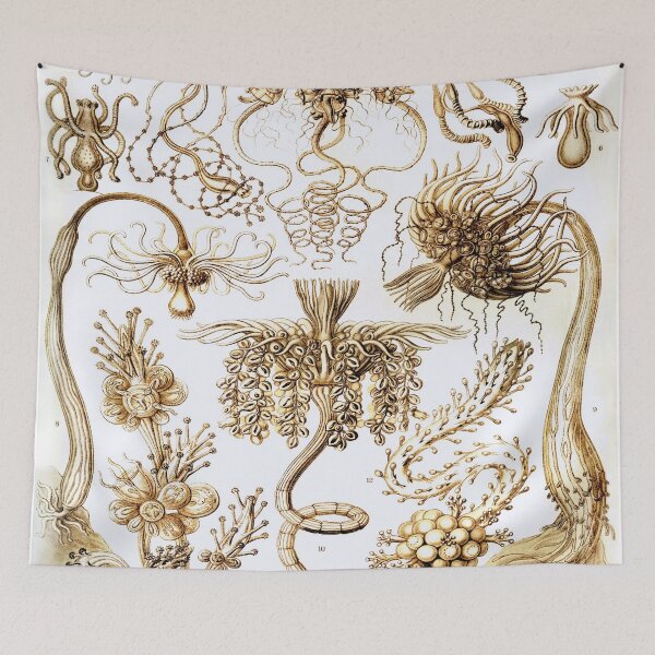 Artikelvorschau, Haeckel Tubulariae entworfen und verkauft von CCdesigners.