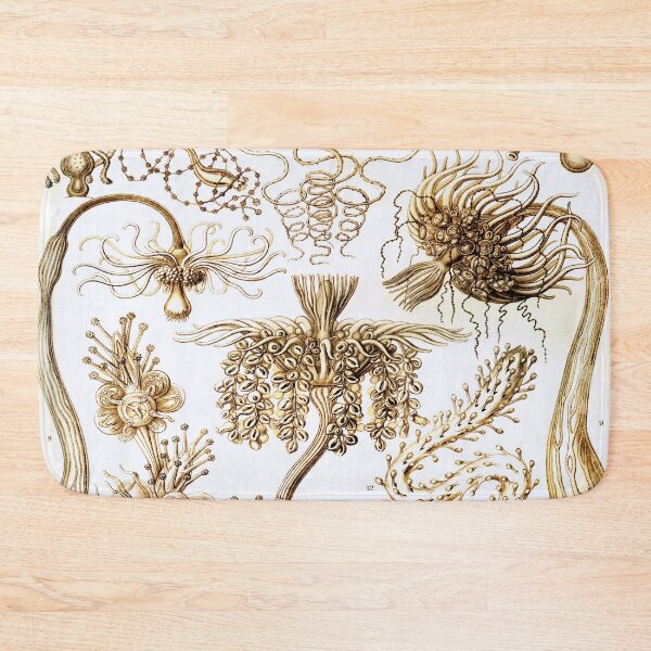 Item preview, Haeckel Tubulariae designed and sold by CCdesigners.