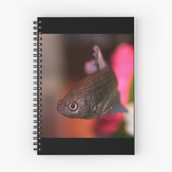 Item preview, Hello fishy designed and sold by BarbaraWilliams.