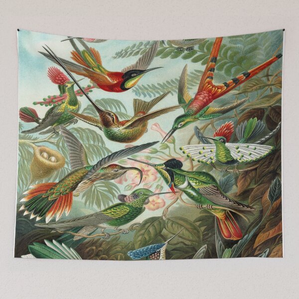 Item preview, Haeckel Trochilidae designed and sold by CCdesigners.