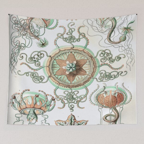 Item preview, Haeckel Trachomedusae designed and sold by CCdesigners.
