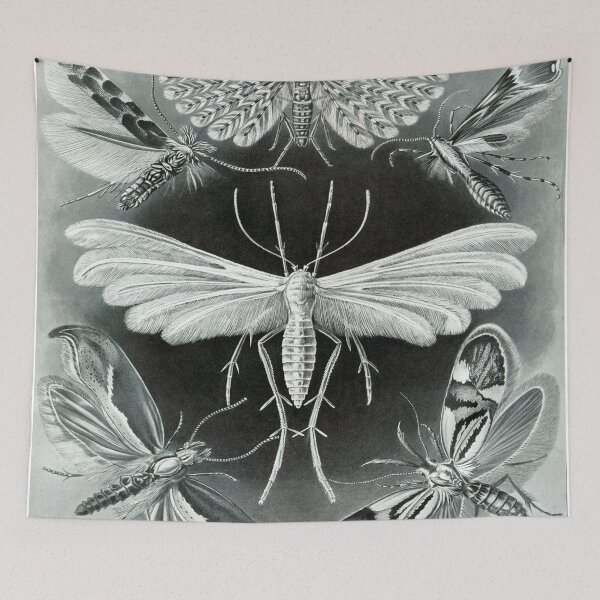 Item preview, Haeckel Tineida designed and sold by CCdesigners.