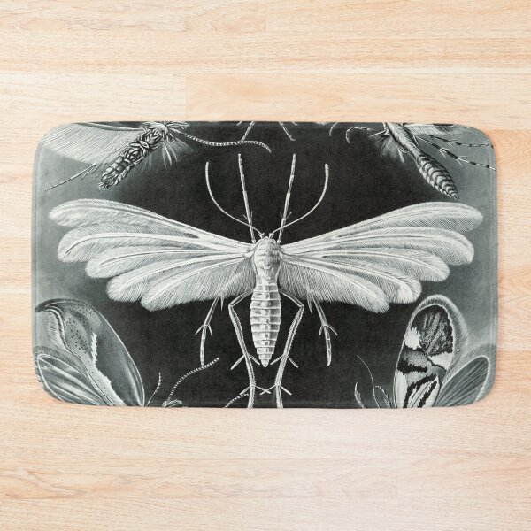 Item preview, Haeckel Tineida designed and sold by CCdesigners.
