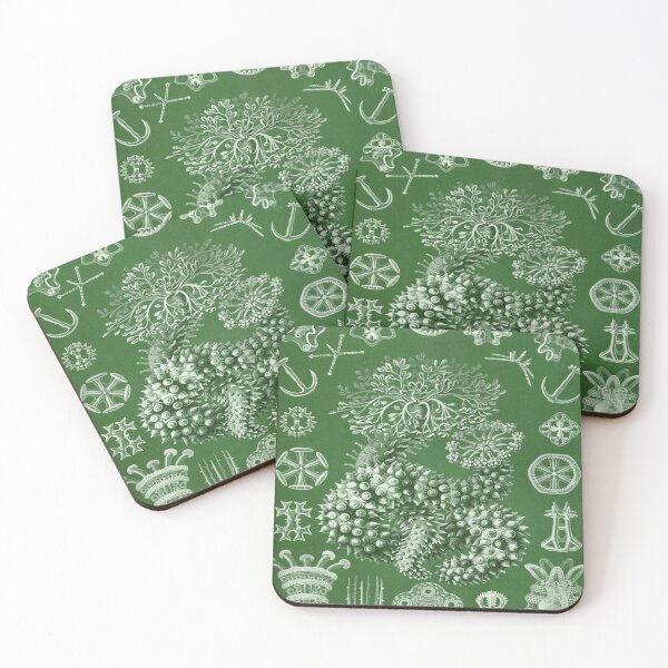 Item preview, Haeckel Thuroidea designed and sold by CCdesigners.
