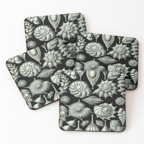 Item preview, Haeckel Thalamophora 81 Artwork designed and sold by CCdesigners.