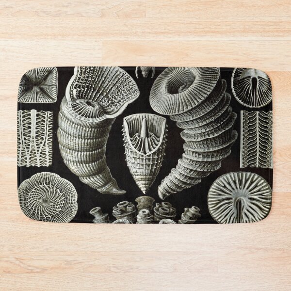 Item preview, Haeckel Tetracoralla Artwork designed and sold by CCdesigners.