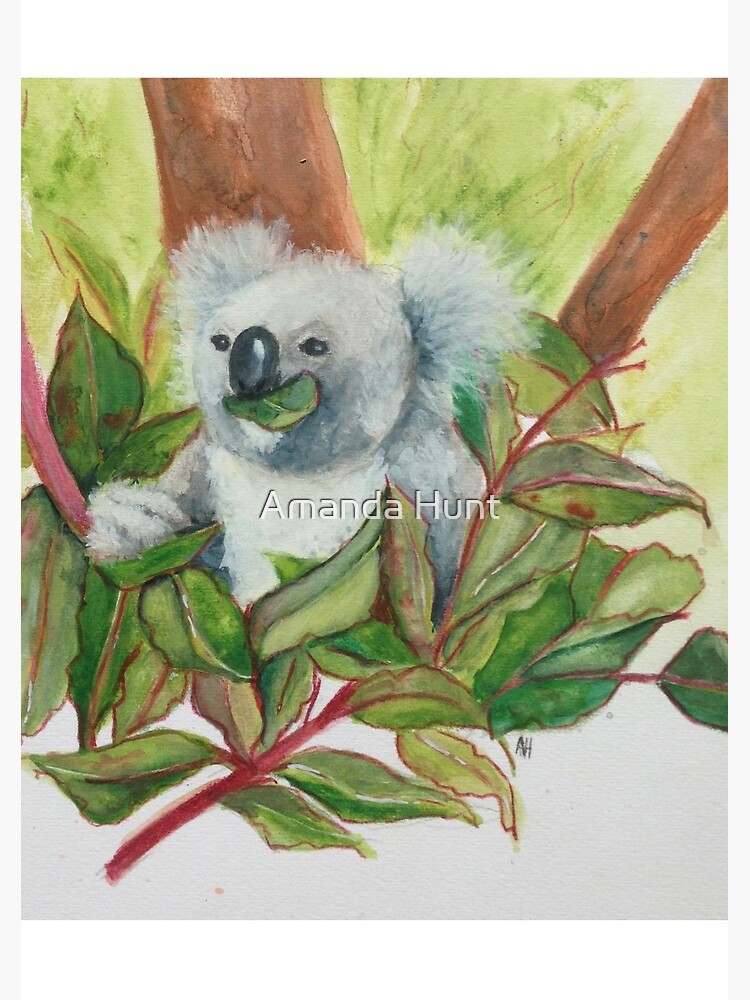 Koala by KeLu