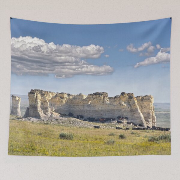 Item preview, Cattle at Monument Rocks, Kansas designed and sold by Catherine Sherman.