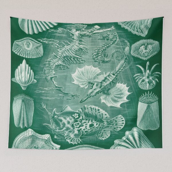 Artikelvorschau, Haeckel Teleostei Artwork entworfen und verkauft von CCdesigners.