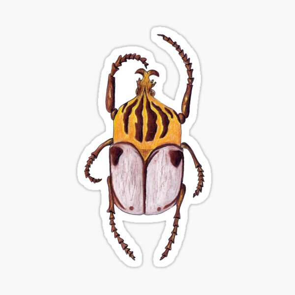 Goliath Beetle Sticker