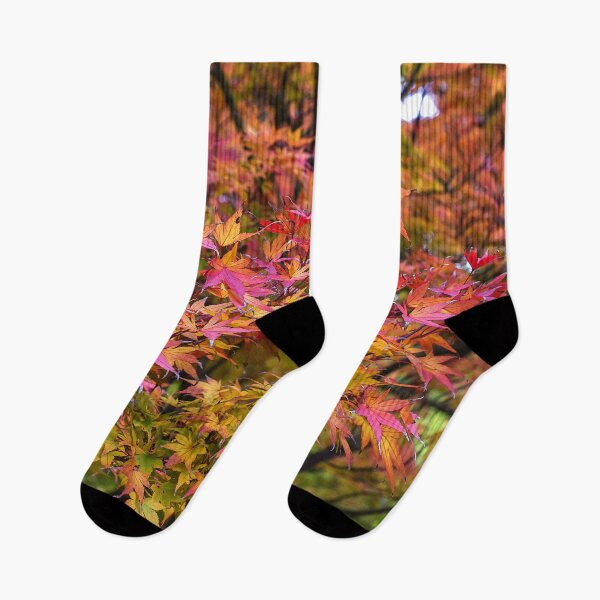 Item preview, Japanese maple designed and sold by fourretout.