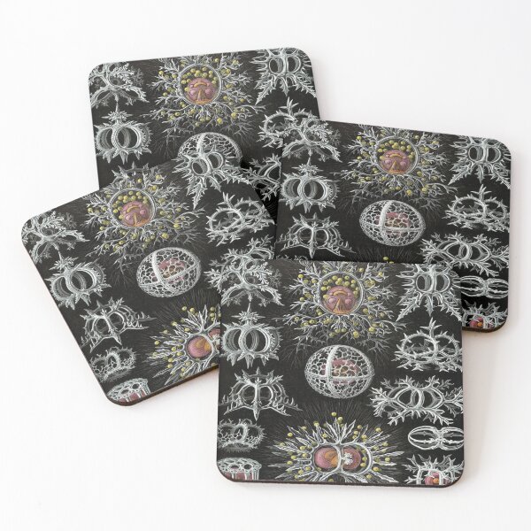 Item preview, Haeckel Stephoidea Drawings designed and sold by CCdesigners.
