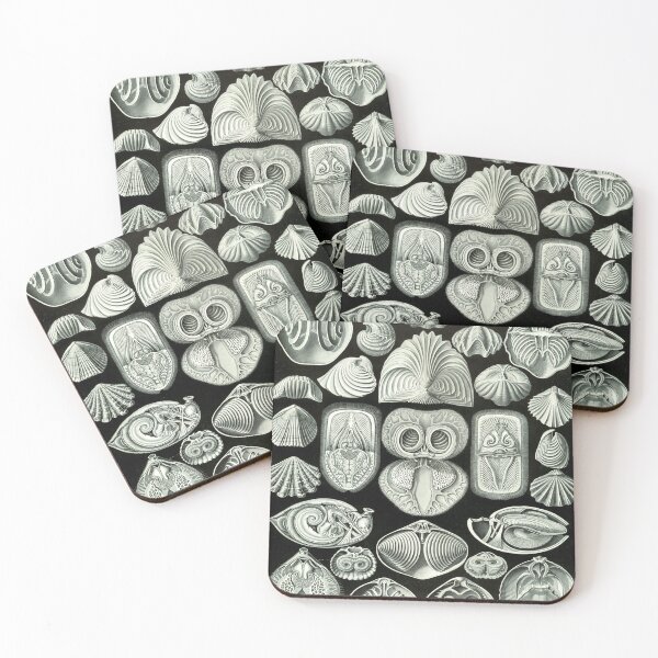Item preview, Haeckel Spirobranchia Drawing designed and sold by CCdesigners.