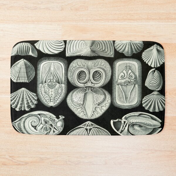 Item preview, Haeckel Spirobranchia Drawing designed and sold by CCdesigners.