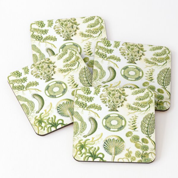 Item preview, Haeckel Siphoneae Drawing designed and sold by CCdesigners.