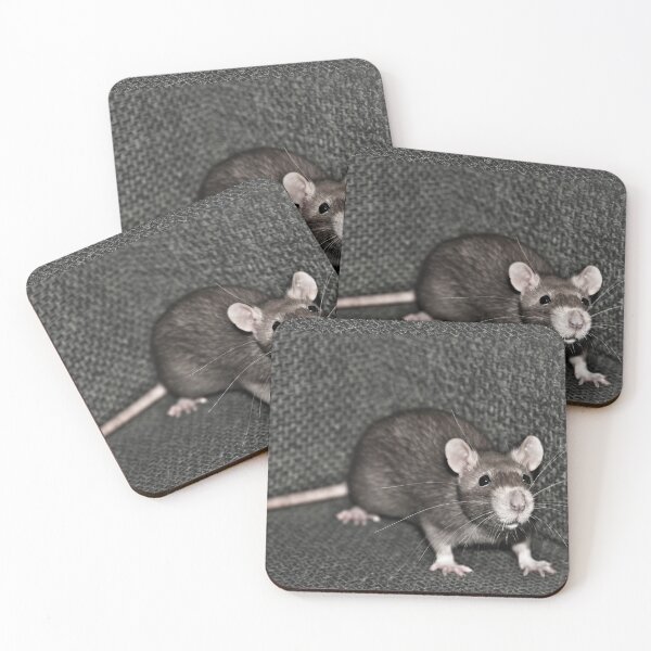 Item preview, Curious Rat designed and sold by yurix.