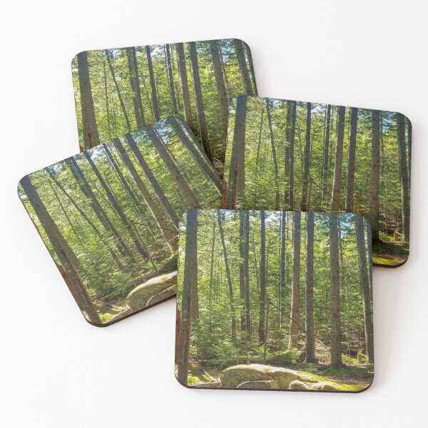 Item preview, Pine Tree Grove designed and sold by AnythingButGray.