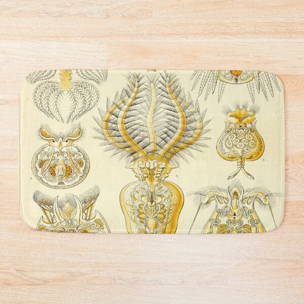 Item preview, Haeckel Rotatoria Drawing designed and sold by CCdesigners.