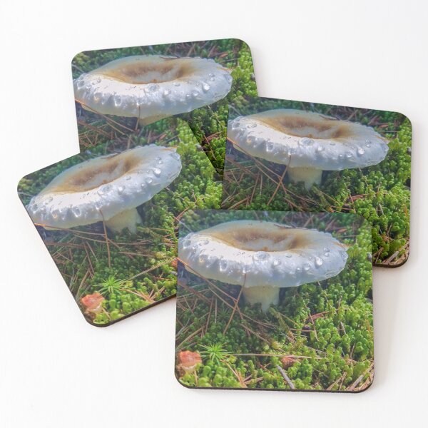 Item preview, Mushroom in moss designed and sold by AnythingButGray.