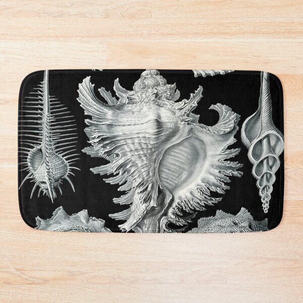 Item preview, Haeckel Prosobranchia Drawing designed and sold by CCdesigners.