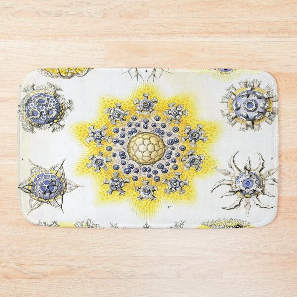 Item preview, Haeckel Polycyttaria Drawing designed and sold by CCdesigners.