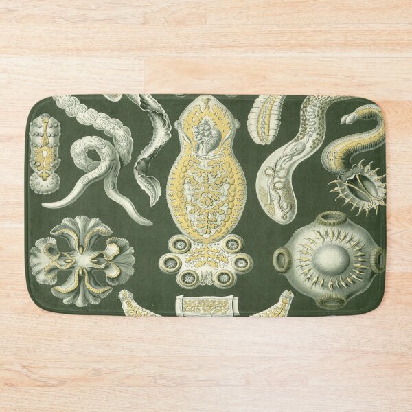 Item preview, Haeckel Platodes Drawing designed and sold by CCdesigners.