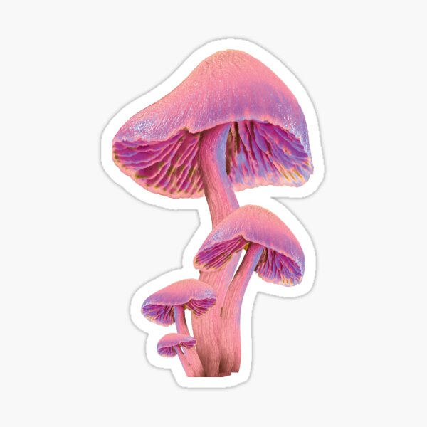 Shroomery entoloma coral Sticker