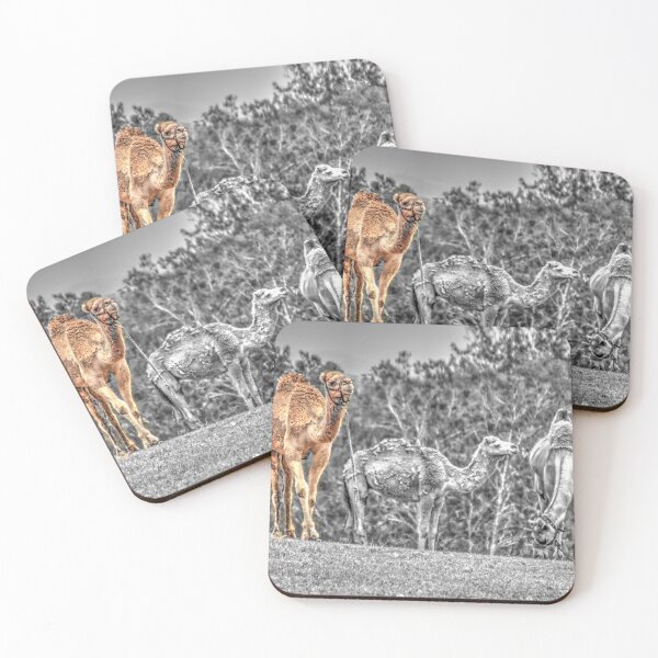 Item preview, Camel king. designed and sold by Ian Ramsay.