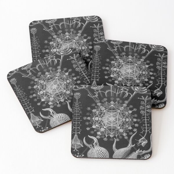 Item preview, Haeckel Phaeodaria 61 Drawing designed and sold by CCdesigners.