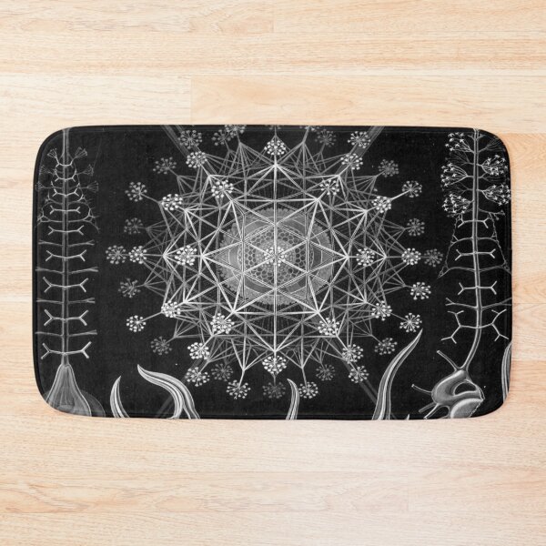 Item preview, Haeckel Phaeodaria 61 Drawing designed and sold by CCdesigners.