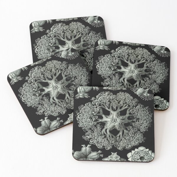 Item preview, Haeckel Ophiodea 70 Drawing designed and sold by CCdesigners.