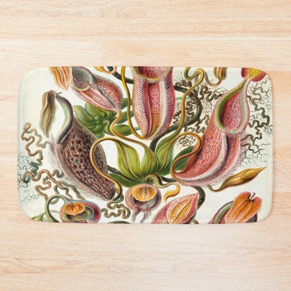 Item preview, Haeckel Nepenthaceae Drawing designed and sold by CCdesigners.