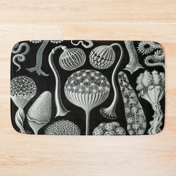 Item preview, Haeckel Mycetozoa Drawing designed and sold by CCdesigners.