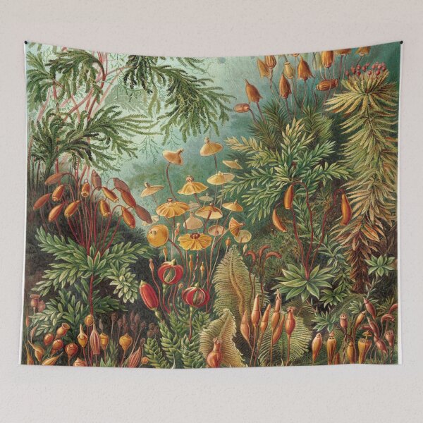 Item preview, Haeckel Muscinae Drawing designed and sold by CCdesigners.