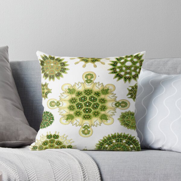 Item preview, Haeckel Melethallia Drawing designed and sold by CCdesigners.