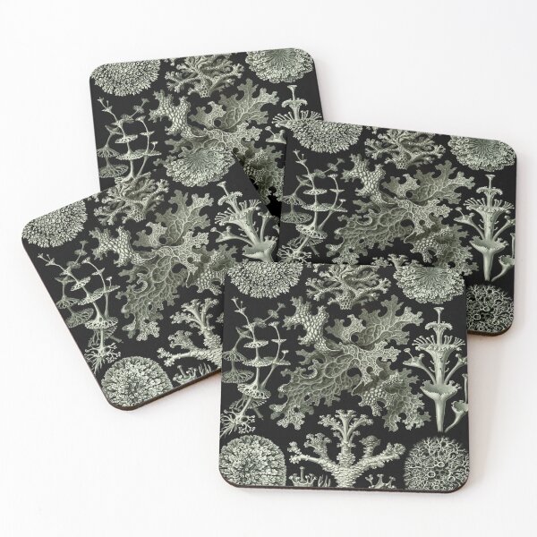 Item preview, Haeckel Lichenes Drawing designed and sold by CCdesigners.
