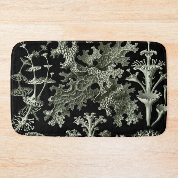 Item preview, Haeckel Lichenes Drawing designed and sold by CCdesigners.