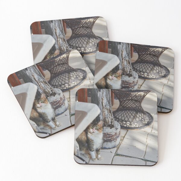 Item preview, Cat at Beach Restaurant, Boca Chica Dominican Republic designed and sold by lessplay.