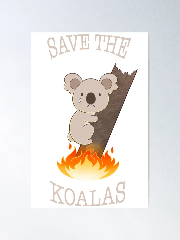 Save the Koalas 🐨 ❤️🙏🏽 4️⃣ 🇦🇺