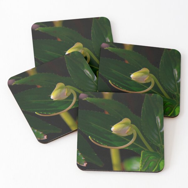Item preview, Bloom where you are Planted designed and sold by BarbaraWilliams.