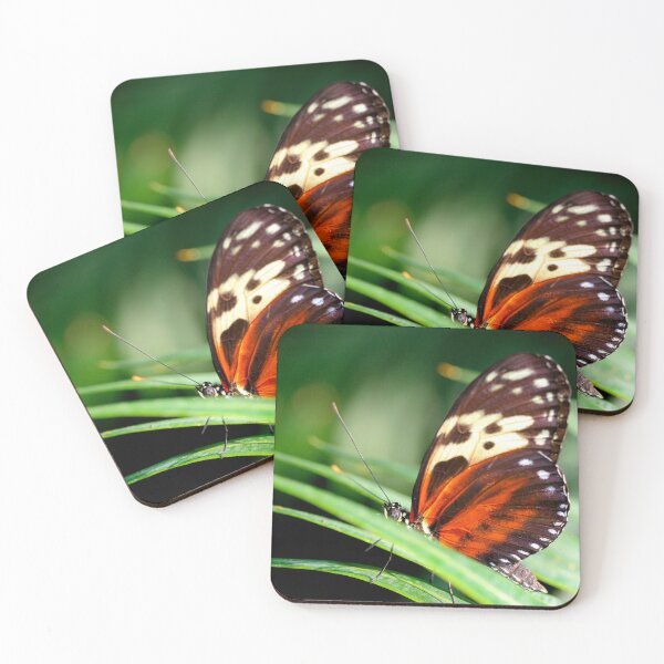Item preview, Butterfly02 designed and sold by BarbaraWilliams.