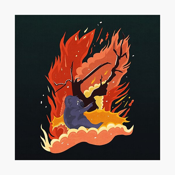 australia burns. Photographic Print