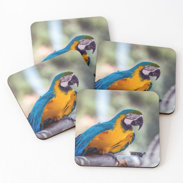 Item preview, Parrot designed and sold by Sebastian Chalupa.