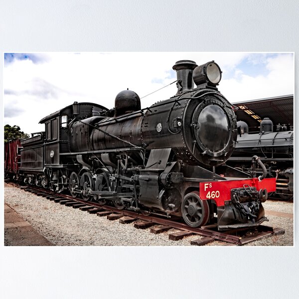"Steam Locomotive No. Fs 460" Poster