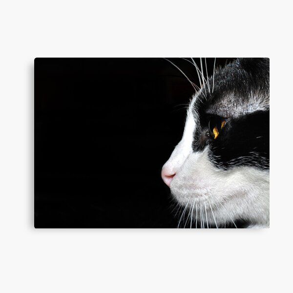 " Paying attention " Canvas Print