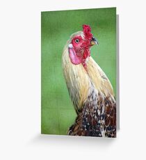 Palmerston Rooster Greeting Card